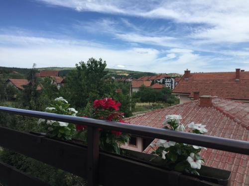 A környék, Pansion "Dusica" in Brestovac A környék, Pansion "Dusica" in Brestovac