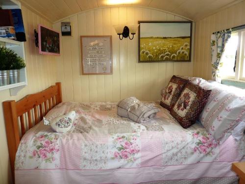The Buteland Stop Rosie off grid Shepherds Hut in Selkirk The Buteland Stop Rosie off grid Shepherds Hut in Selkirk