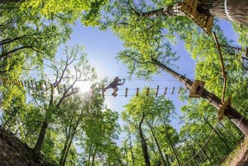 在meiguo.com看到的Mountain Creek Resort的介绍图片