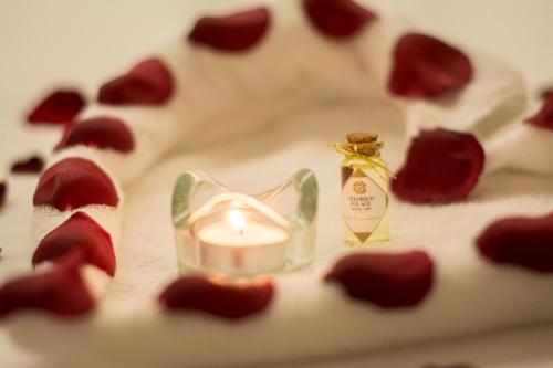 This photo about Flag Hotel Celorico Palace shared on HyHotel.com