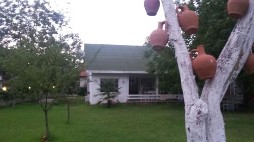 Country House 
Country House