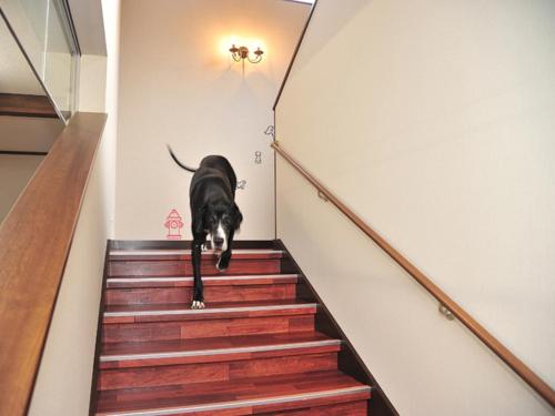 This photo about Lodge B&W shared on HyHotel.com