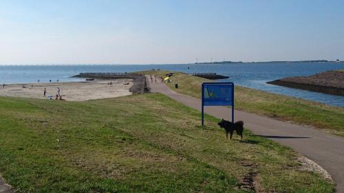 شاطئ, Homestay Stavenisse in Stavenisse شاطئ, Homestay Stavenisse in Stavenisse