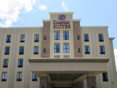Comfort Suites Greenville South in Cullowhee
