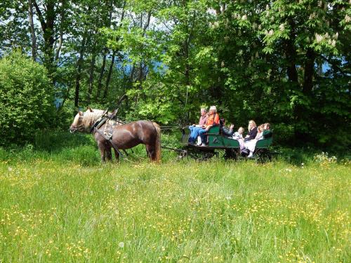 Landgasthof Buchner in Admont Landgasthof Buchner in Admont