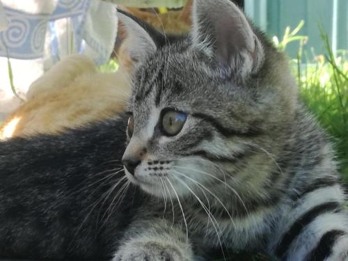 This photo about Appartement Pilzhof shared on HyHotel.com