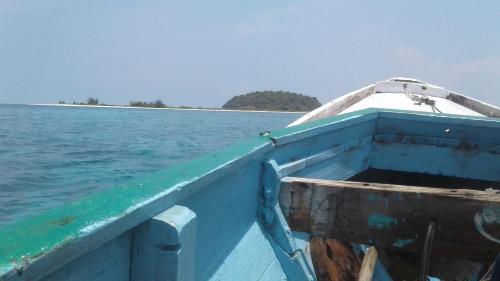 Pangabatang snorkle, Maumere Pangabatang snorkle, Maumere