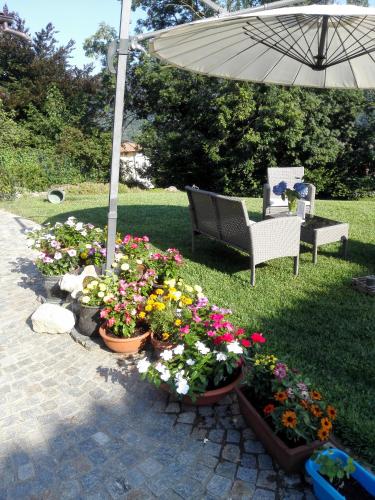Garden, B&B Villa Claudia in Marchirolo Garden, B&B Villa Claudia in Marchirolo