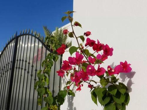 This photo about Residence Lella Sassia shared on HyHotel.com