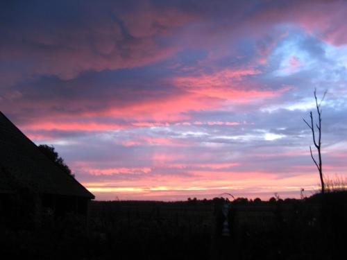 't Zwaluwennest in Exloo 't Zwaluwennest in Exloo