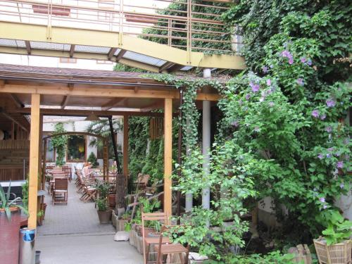 สวน, Hotel Amphone in เบอร์โน ซิตี้ เซ็นเตอร์ สวน, Hotel Amphone in เบอร์โน ซิตี้ เซ็นเตอร์