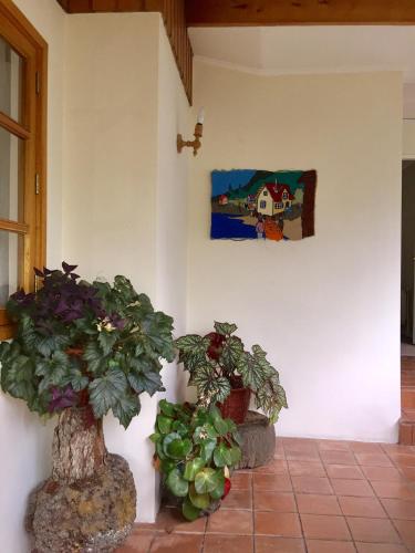 This photo about Hotel Belisario Jara shared on HyHotel.com