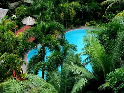 View, Hof Gorei Beach Resort in Kaputian District - Samal Island View, Hof Gorei Beach Resort in Kaputian District - Samal Island