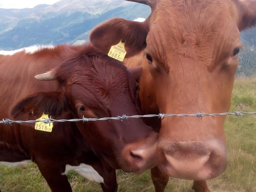 This photo about Alte Schule shared on HyHotel.com