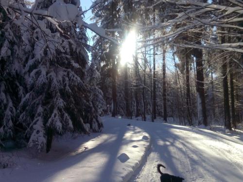 Surrounding environment, Cosy Apartment in Werda with Garden in Werda Surrounding environment, Cosy Apartment in Werda with Garden in Werda
