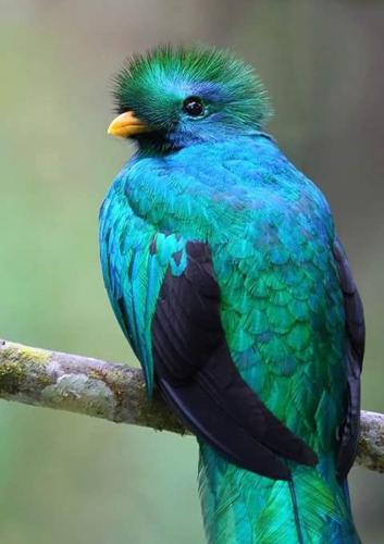 This photo about Hotel Mirador de Quetzales shared on HyHotel.com