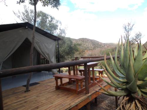 beranda/teres, Old Mill Lodge , Working Ostrich Farm and Restaurant in Oudtshoorn beranda/teres, Old Mill Lodge , Working Ostrich Farm and Restaurant in Oudtshoorn