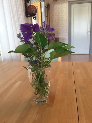 Instalaciones, Hagaborg Bed & Breakfast in Kopingsvik Instalaciones, Hagaborg Bed & Breakfast in Kopingsvik