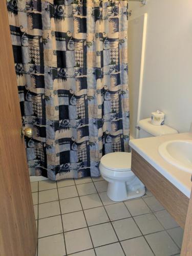 Bathroom, All Seasons Motel in Rock Falls (IL) Bathroom, All Seasons Motel in Rock Falls (IL)