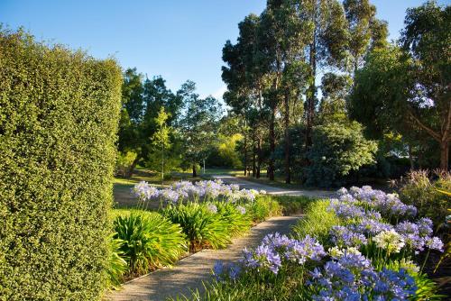 This photo about Alvie shared on HyHotel.com