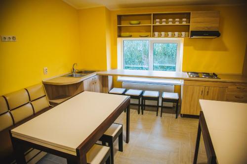 مطبخ, Alina Hotel & Hostel in أوزهوجورود مطبخ, Alina Hotel & Hostel in أوزهوجورود