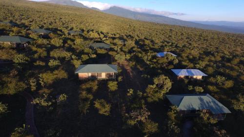 Vue, Ngorongoro Wild Camp in Ngorongoro Vue, Ngorongoro Wild Camp in Ngorongoro