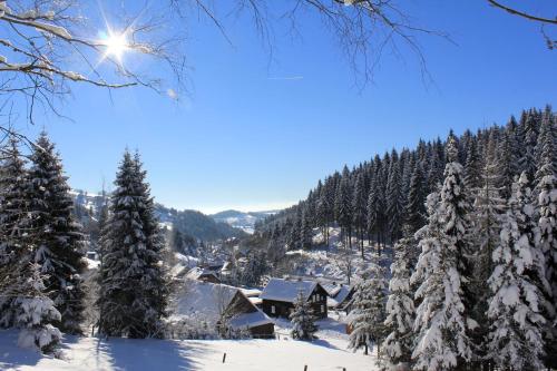 Exterior view, Fw. Steindobra Anno Dazumal in Klingenthal Exterior view, Fw. Steindobra Anno Dazumal in Klingenthal