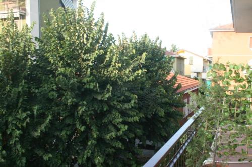 This photo about Family Inn shared on HyHotel.com