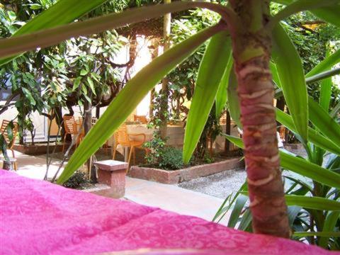 This photo about Albergo Lavagnese shared on HyHotel.com