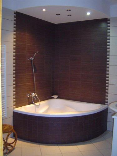 Bany, Janus Apartman in Hegykozseg Bany, Janus Apartman in Hegykozseg