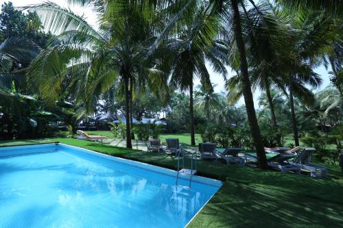 Attractions, Montego Bay Beach Village in Morjim Attractions, Montego Bay Beach Village in Morjim