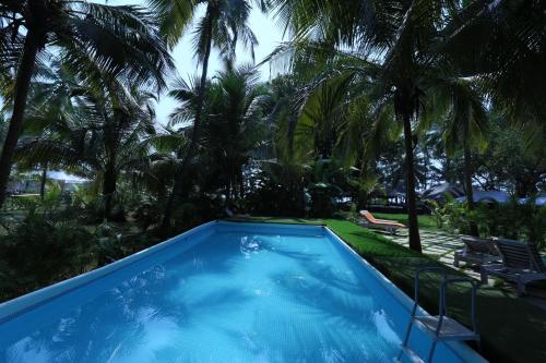 Attractions, Montego Bay Beach Village in Morjim Attractions, Montego Bay Beach Village in Morjim