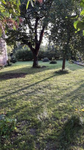 Garden, Ferienwohnung am Theo Carlen Platz in Bliesmengen-Mandelbachtal Garden, Ferienwohnung am Theo Carlen Platz in Bliesmengen-Mandelbachtal