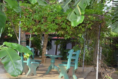 ガーデン, リビング イン ポロンナールワ (Living inn Polonnaruwa) in ポロンナールワ ガーデン, リビング イン ポロンナールワ (Living inn Polonnaruwa) in ポロンナールワ