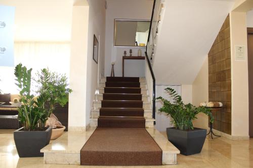 Vestíbulo, Hotel Adler in Marche Vestíbulo, Hotel Adler in Marche