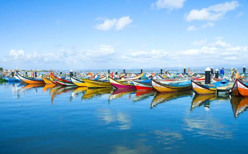 canoa, Casa da Magnólia (Casa da Magnolia) in Murtosa canoa, Casa da Magnólia (Casa da Magnolia) in Murtosa