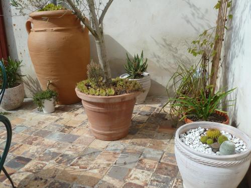 Le Jardin Andrinople in Richelieu Le Jardin Andrinople in Richelieu