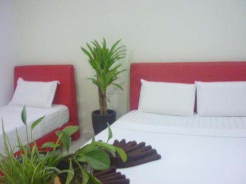 Hotel Paka INN in Paka Hotel Paka INN in Paka