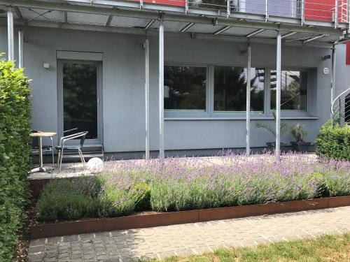 Balcony/terrace, Wander- und Aktivchalet in Birkenfeld (Rhineland-Palatinate) Balcony/terrace, Wander- und Aktivchalet in Birkenfeld (Rhineland-Palatinate)