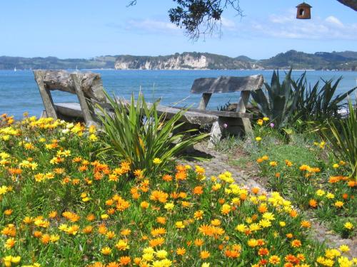 Fasiliteter, Beachfront Resort in Whitianga Fasiliteter, Beachfront Resort in Whitianga