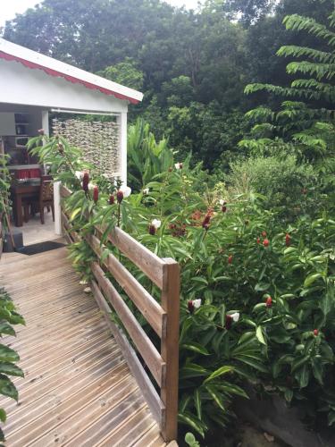 Les Gites de CASITA By kreyol animal in Grand-Bourg Les Gites de CASITA By kreyol animal in Grand-Bourg