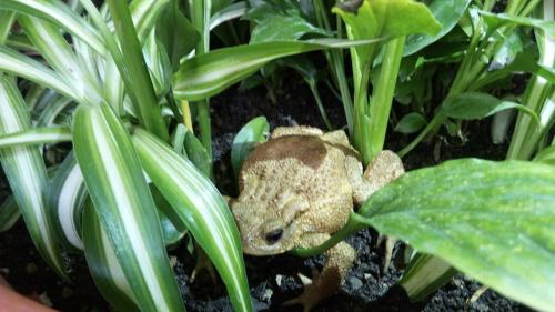 This photo about Argo Hotel shared on HyHotel.com