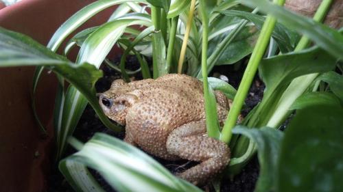 This photo about Argo Hotel shared on HyHotel.com