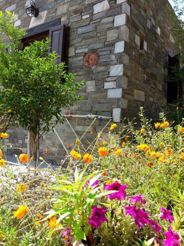 Apartments Spiros Pelion in Kalamaki Apartments Spiros Pelion in Kalamaki