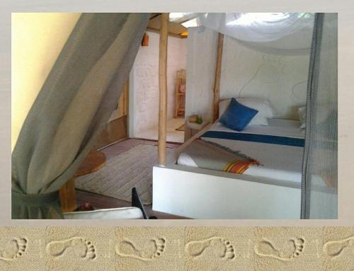 Barefoot Beach Camp