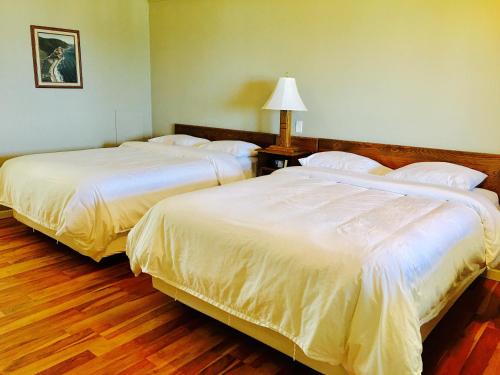 This photo about Laurie's Motor Inn shared on HyHotel.com