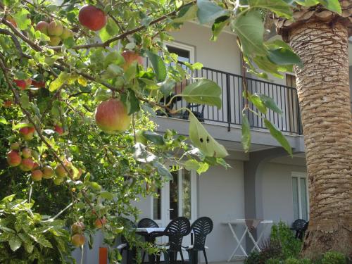 Balkon/teras, Apartments Macaso in Bar Balkon/teras, Apartments Macaso in Bar