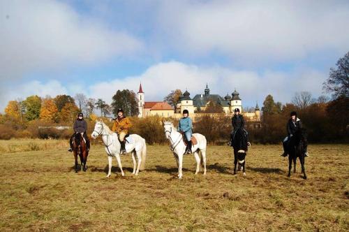 Діяльність, Ranch pod lesom Slovensky Raj in Старий Смоковець Діяльність, Ranch pod lesom Slovensky Raj in Старий Смоковець