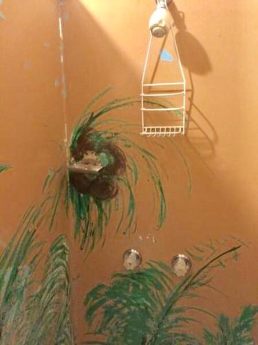 在meiguo.com看到的Hotel Honokaa的介绍图片