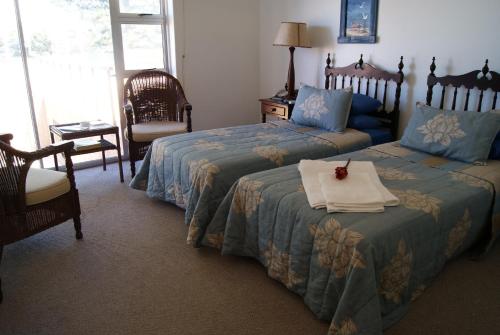 Sea Otters Lodge in Clarendon Marine Sea Otters Lodge in Clarendon Marine